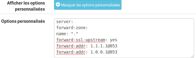 pfSense - DNS custom options