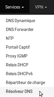 pfSense - Services - DNS Resolver