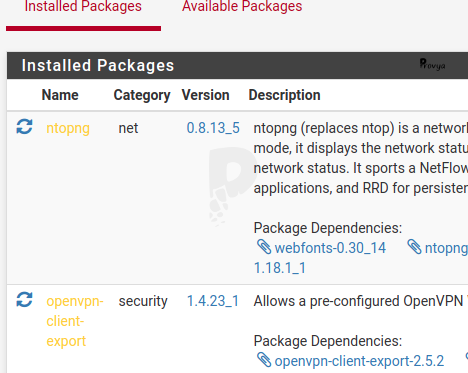 Mettre à jour un package sous pfSense - Provya