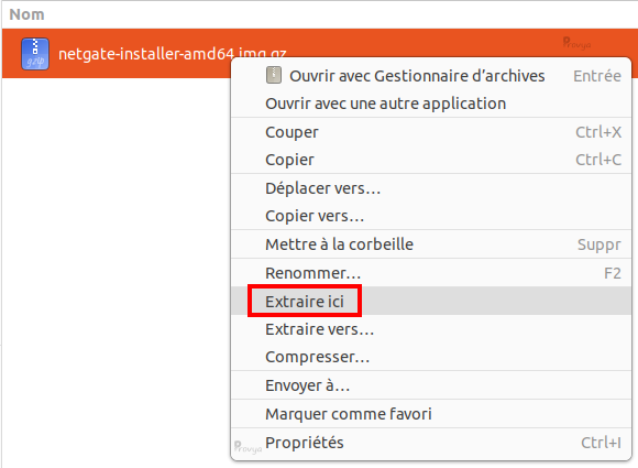 Décompresser Netgate Installer